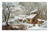 Home in the Wilderness