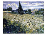 Landscape with Green Corn