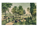 Central Park: The Drive