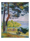 Afternoon at Pardigon