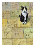 Cat in Hollywood (Chat a Hollywood)