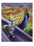 Cat of Venice (Chat de Venise)