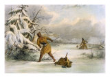 Spearing Muskrats in Winter