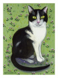 Vincent le Chat