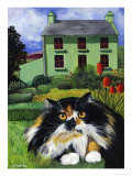 Persian Cat in Ireland (Chat Persan En Irland)