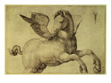 Pegasus