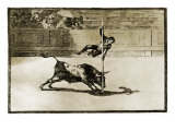 La Tauromaquia Series