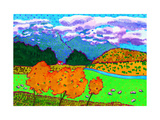 New Zealand Farm