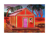 Amazon River Houseboat