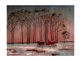 Cove Island Sleigh Ride