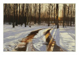 A Snowy Path at Tanglewood