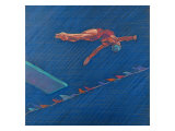 Highboard Diver
