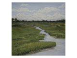 Marshes II