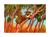 Koalas