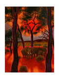 African Twilight