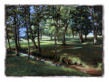 Shady Spot at the Botanical Gardens