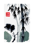 Chinese Study