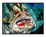 Grouper's mouth