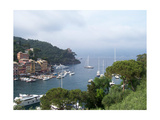 Portofino Harbor