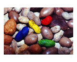 Nuts about You!