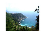 Cinque Terre Corniglia with vineyards