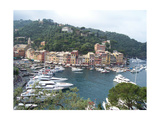 Portofino From the Terrace
