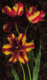 Decorative Tulips I