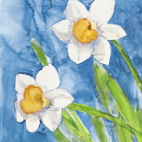 Narcisi (detail)