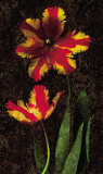 Decorative Tulips II