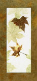 Falling Leaves I