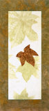 Falling Leaves II