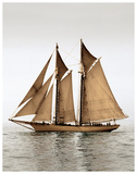 Mystic Journey I