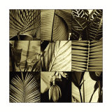 Tropical Leaves I