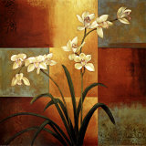 White Orchid