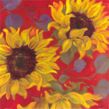 Sunflower II