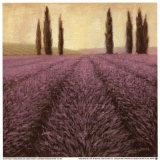 Lavender Horizon Detail