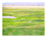 Whooping Crane family