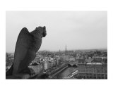notre dame view