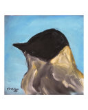Eastern Phoebe study 1