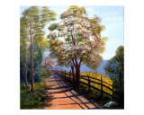 Summer walk