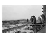 Notre Dame view