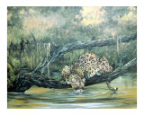 Watering Hole