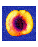 Nectarine with Blue Background