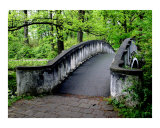 A bridge in the Park