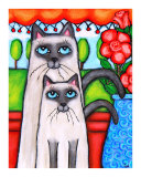 Siamese Mom and Kitten