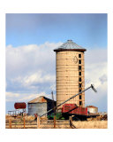 On The Farm