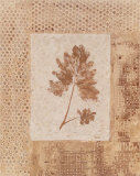 Autumn Texture I