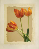 Tangerine Tulips II