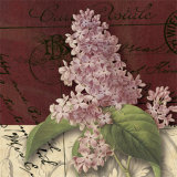 Postcard Lilac