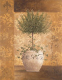 Topiary I